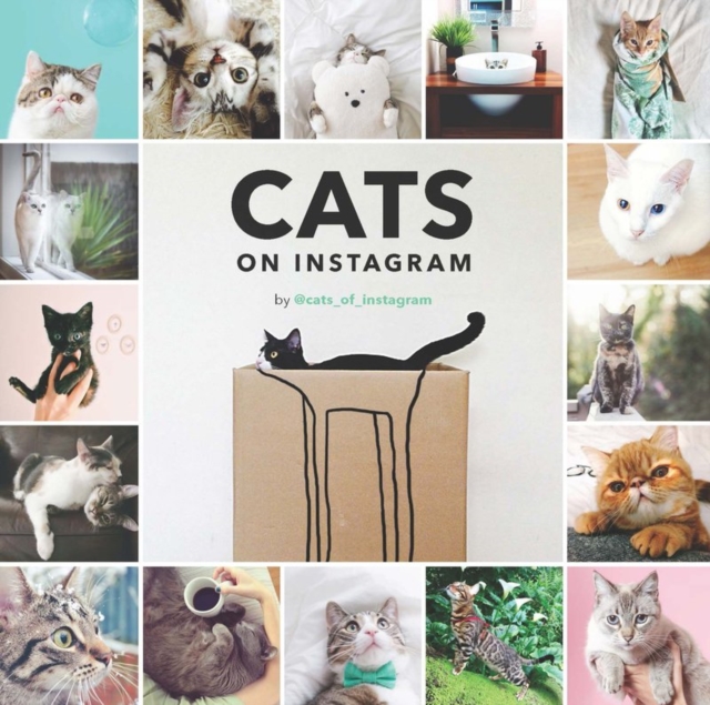 Cats On Instagram, Hardback Book