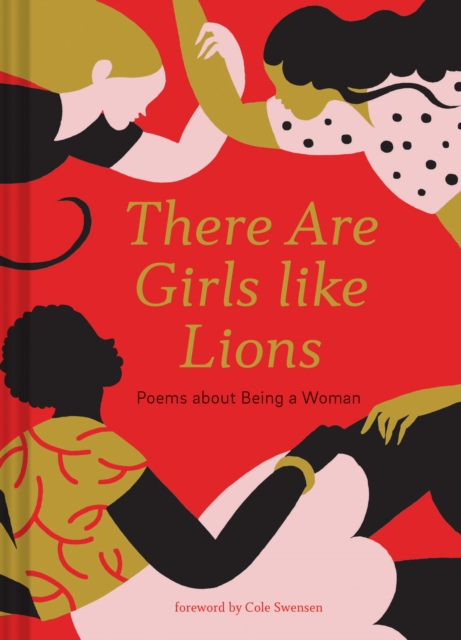 There are Girls like Lions, Hardback Book