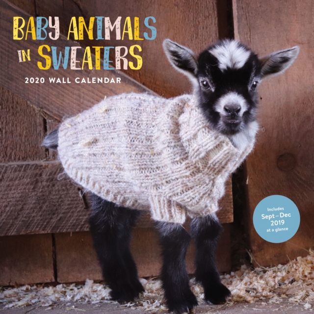 Baby Animals in Sweaters 2020 Wall Calendar, Calendar Book