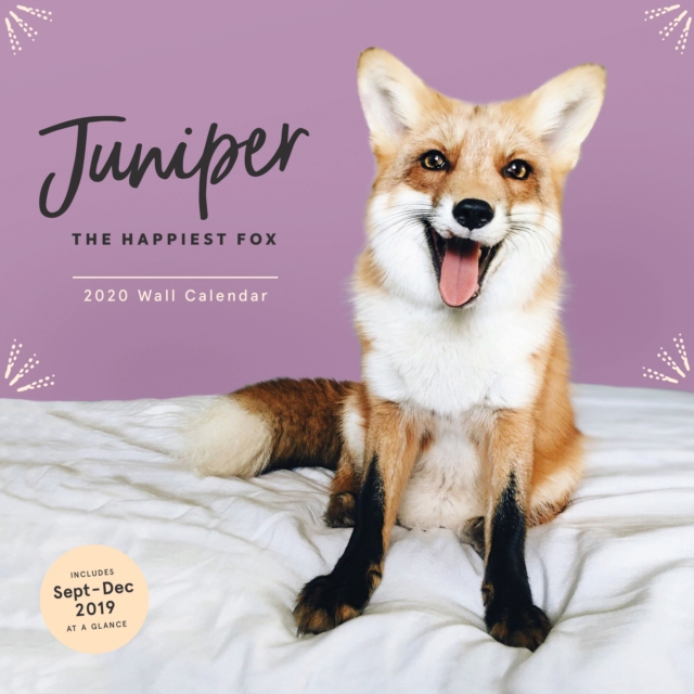 Juniper: The Happiest Fox 2020 Wall Calendar, Calendar Book