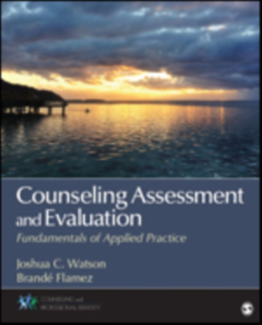 Counseling Assessment and Evaluation : Fundamentals of Applied Practice, Paperback / softback Book