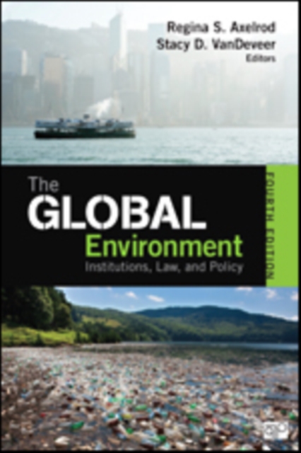 The Global Environment : Institutions, Law, and Policy, Paperback / softback Book