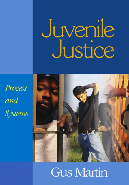 Juvenile Justice : Process and Systems, PDF eBook