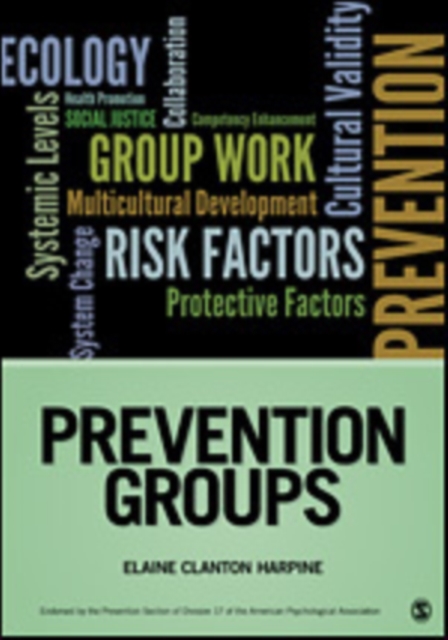 Prevention Groups, Paperback / softback Book