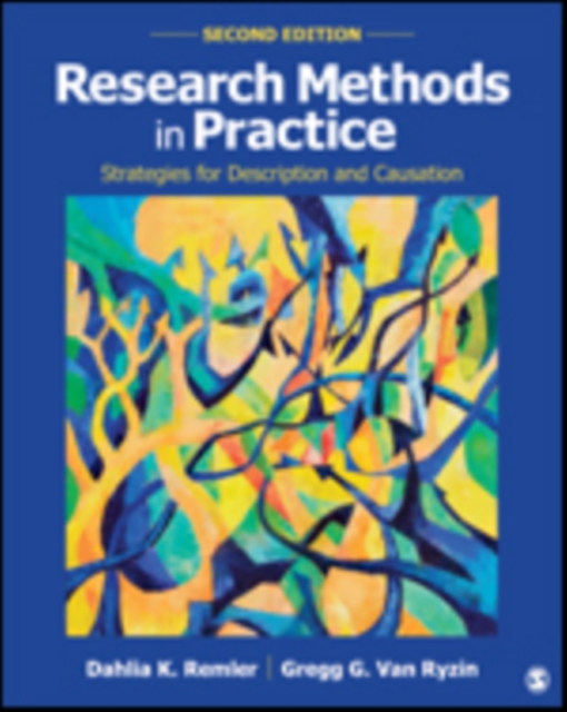 Research Methods in Practice : Strategies for Description and Causation, Paperback / softback Book