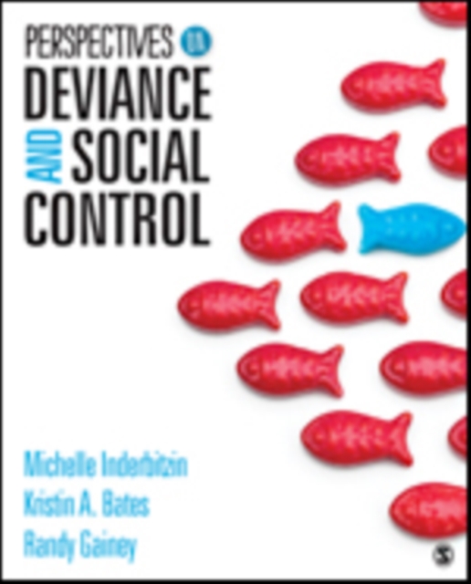 Perspectives on Deviance and Social Control, Paperback / softback Book