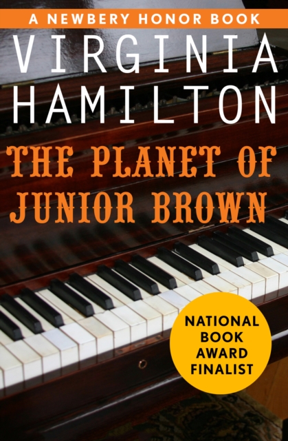The Planet of Junior Brown, EPUB eBook