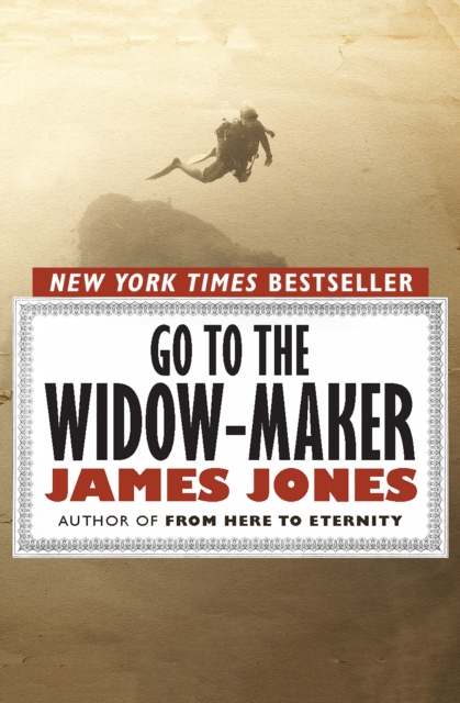 Go to the Widow-Maker, Paperback / softback Book