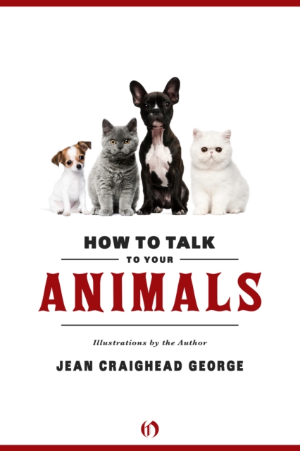 How to Talk to Your Animals, Paperback / softback Book