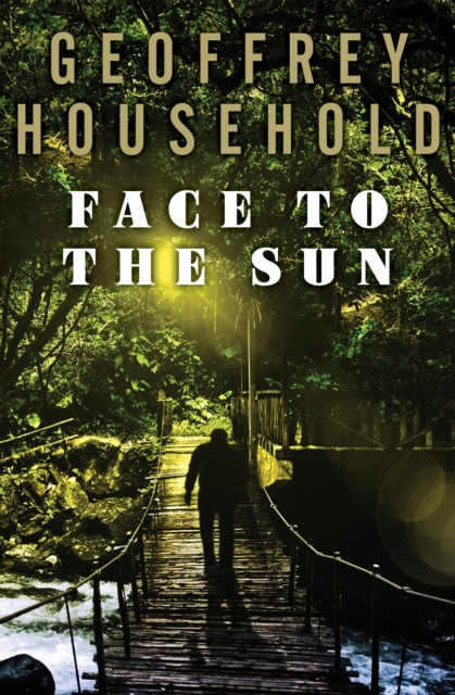 Face to the Sun, EPUB eBook