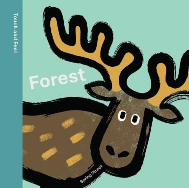 Spring Street Touch and Feel: Forest, Board book Book