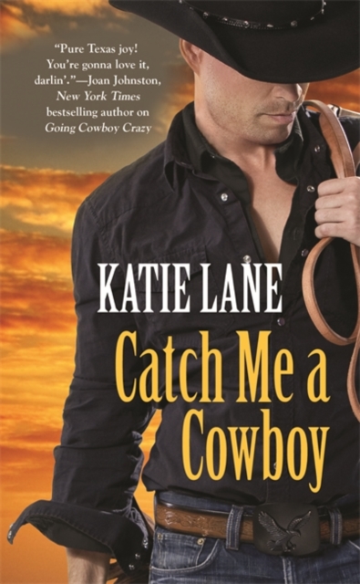 Catch Me a Cowboy : Number 3 in series, Paperback / softback Book
