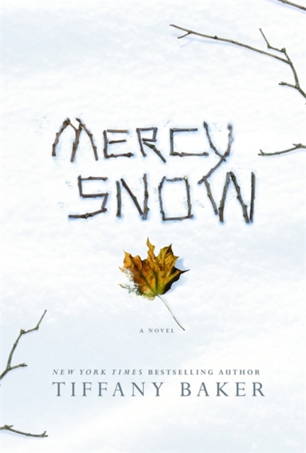 Mercy Snow, Hardback Book