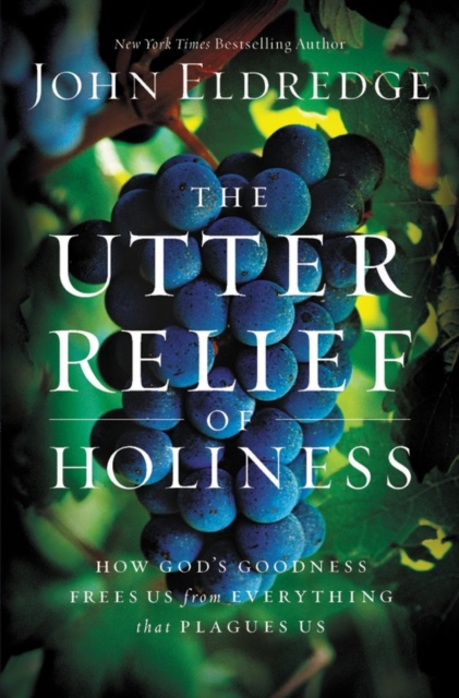 The Utter Relief of Holiness : How God's Goodness Frees Us from Everything that Plagues Us, Paperback Book