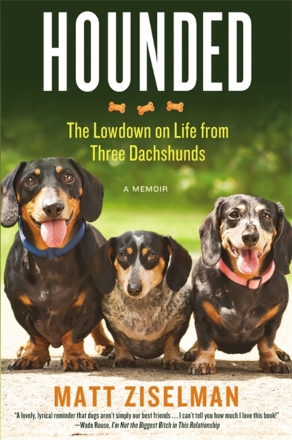 Hounded : The Low-Down on Life from Three Dachshunds, Paperback / softback Book