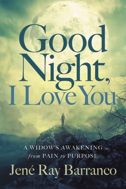 Good Night, I Love You, Hardback Book