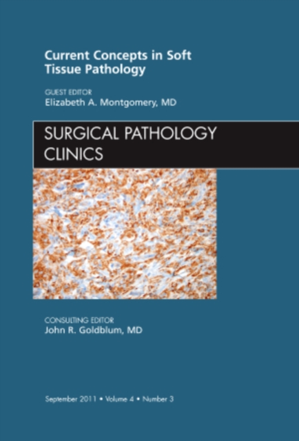 Current Concepts in Soft Tissue Pathology, An Issue of Surgical Pathology Clinics : Volume 4-3, Hardback Book