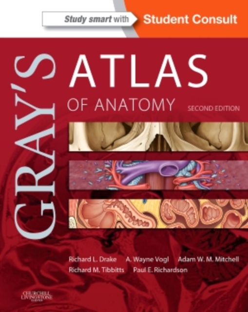 Gray's Atlas of Anatomy, Paperback / softback Book