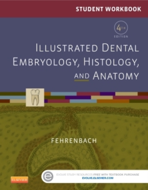 Student Workbook for Illustrated Dental Embryology, Histology and Anatomy, Paperback / softback Book