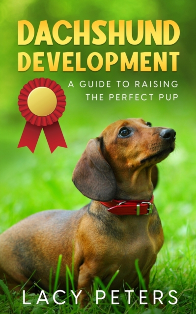 Dachshund Development : A Guide to Raising the Perfect Pup, Paperback / softback Book