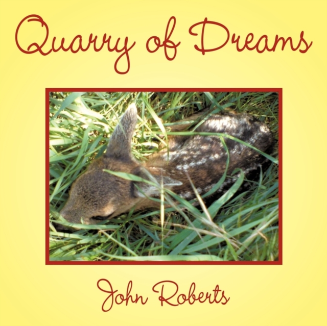 Quarry of Dreams, Paperback / softback Book