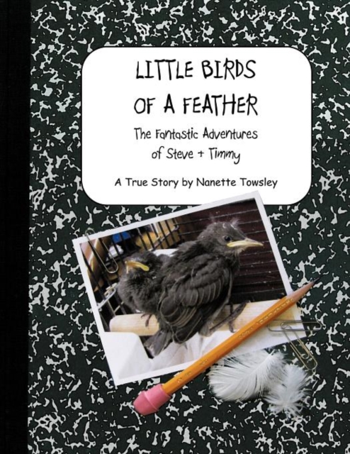 Little Birds of a Feather : The Fantastic Adventures of Steve & Timmy, Paperback Book