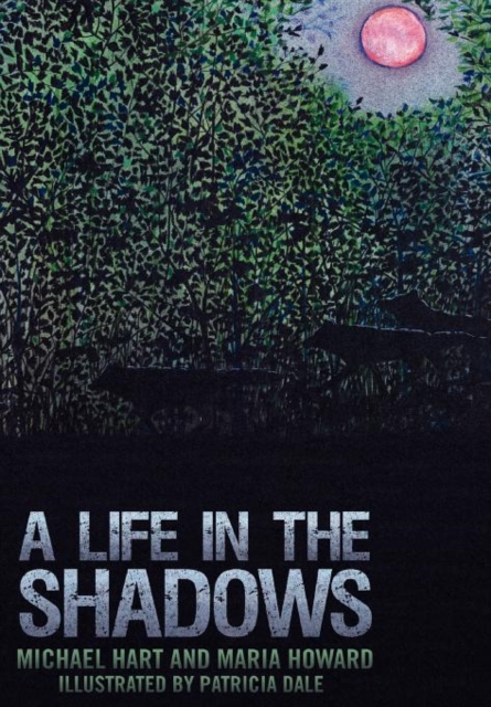 A Life in the Shadows, Hardback Book