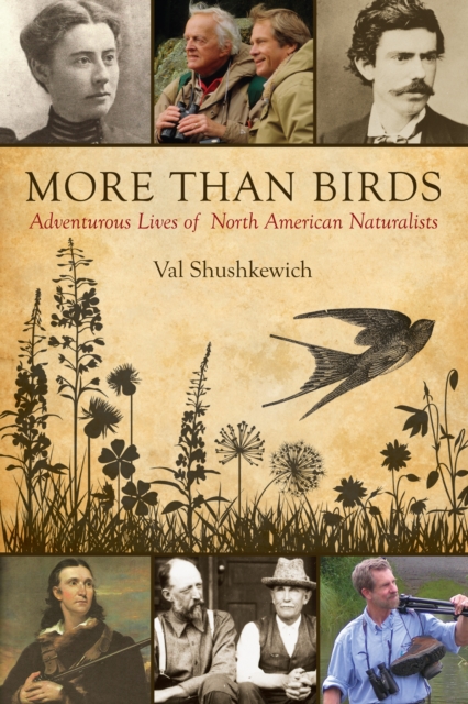 More Than Birds : Adventurous Lives of North American Naturalists, Paperback / softback Book