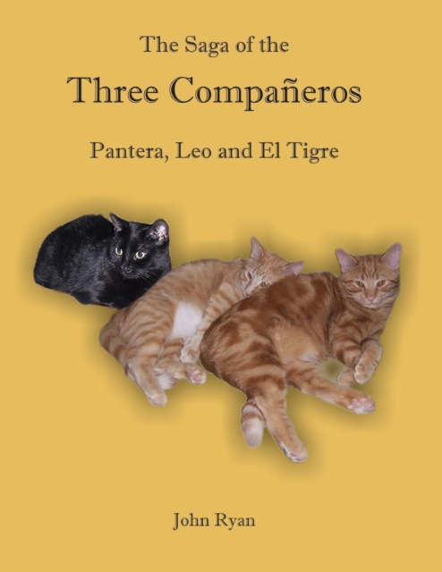 The Saga of the Three Companeros : Pantera, Leo and El Tigre, Paperback / softback Book