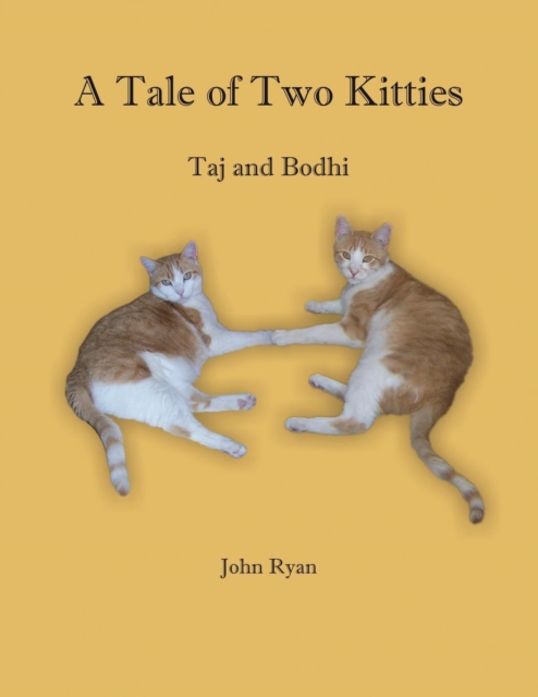 A Tale of Two Kitties : Taj and Bodhi, Paperback / softback Book
