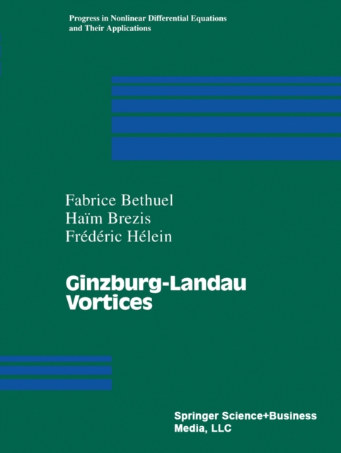 Ginzburg-Landau Vortices, PDF eBook