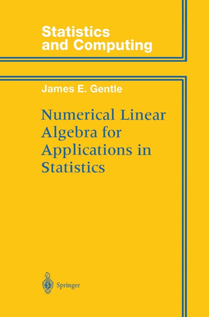 Numerical Linear Algebra for Applications in Statistics, PDF eBook