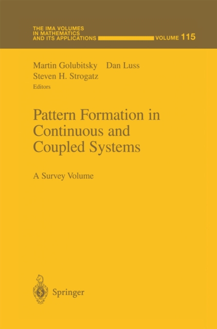 Pattern Formation in Continuous and Coupled Systems : A Survey Volume, PDF eBook