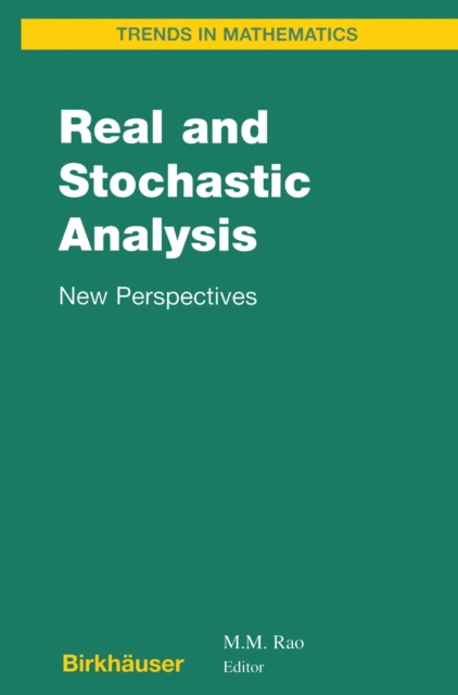 Real and Stochastic Analysis : New Perspectives, PDF eBook
