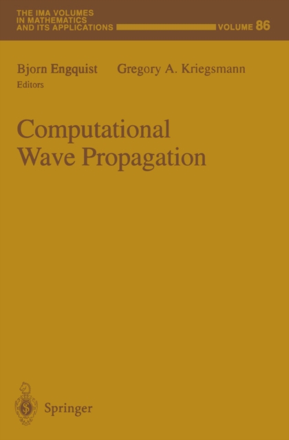Computational Wave Propagation, PDF eBook