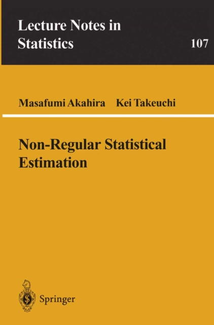 Non-Regular Statistical Estimation, PDF eBook
