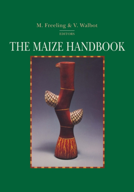 The Maize Handbook, PDF eBook