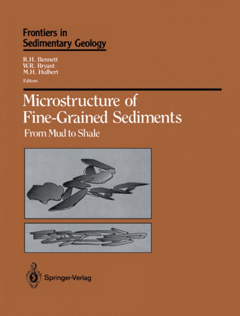 Microstructure of Fine-Grained Sediments : From Mud to Shale, PDF eBook