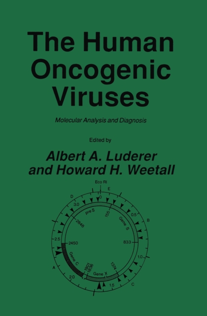 The Human Oncogenic Viruses : Molecular Analysis and Diagnosis, PDF eBook