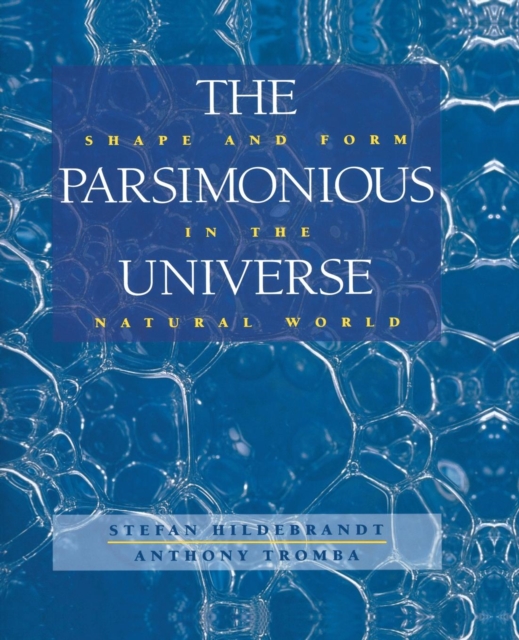 The Parsimonious Universe : Shape and Form in the Natural World, Paperback / softback Book