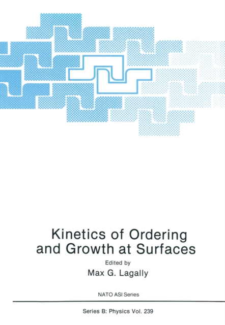 Kinetics of Ordering and Growth at Surfaces, PDF eBook