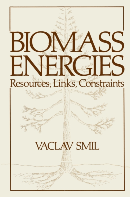 Biomass Energies : Resources, Links, Constraints, PDF eBook