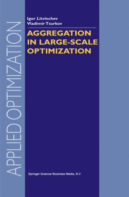 Aggregation in Large-Scale Optimization, Paperback / softback Book