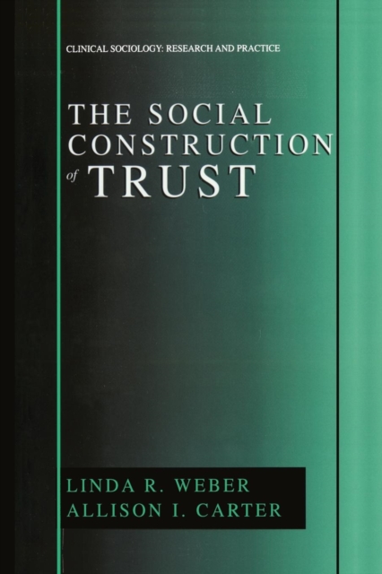 The Social Construction of Trust, Paperback / softback Book