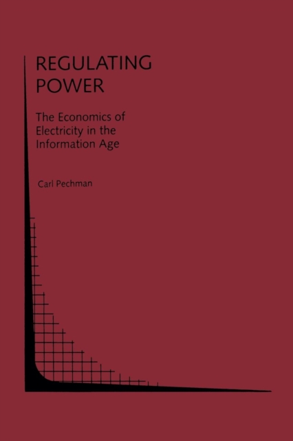 Regulating Power: The Economics of Electrictiy in the Information Age : The Economics of Electricity in the Information Age, Paperback / softback Book