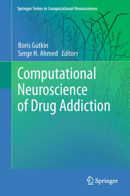 Computational Neuroscience of Drug Addiction, Hardback Book