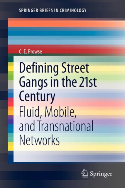 Defining Street Gangs in the 21st Century : Fluid, Mobile, and Transnational Networks, Paperback / softback Book