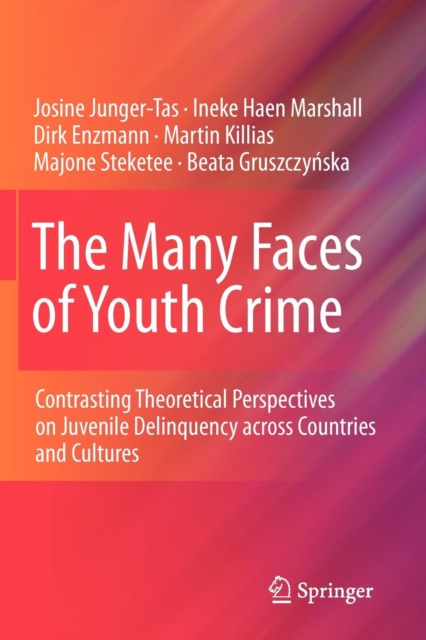 The Many Faces of Youth Crime : Contrasting Theoretical Perspectives on Juvenile Delinquency across Countries and Cultures, Paperback / softback Book