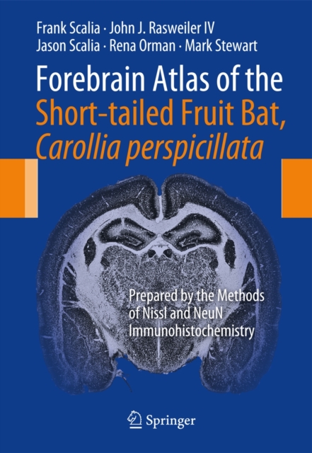 Forebrain Atlas of the Short-Tailed Fruit Bat, Carollia Perspicillata : Prepared by the Methods of Nissl and Neun Immunohistochemistry, Spiral bound Book
