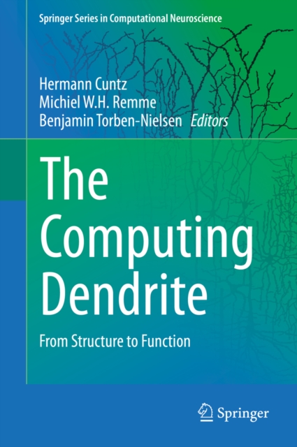 The Computing Dendrite : From Structure to Function, PDF eBook